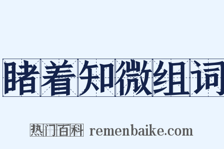 睹着知微组词是什么意思的图片